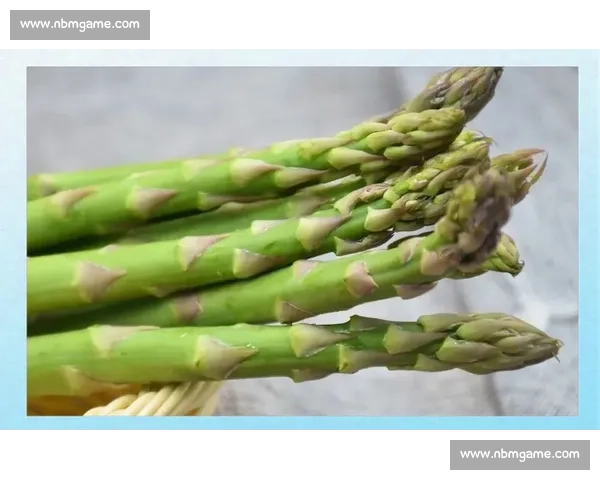 赛后身体恢复与营养调理全方位方案解析